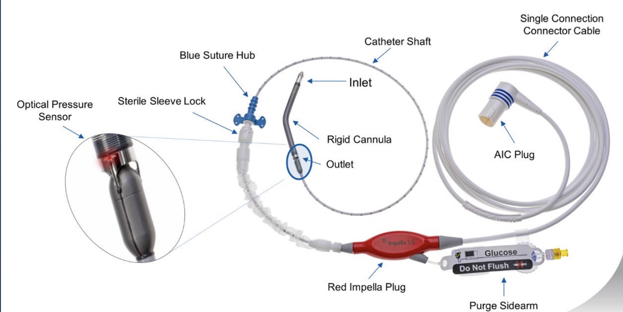 Impella device anatomy